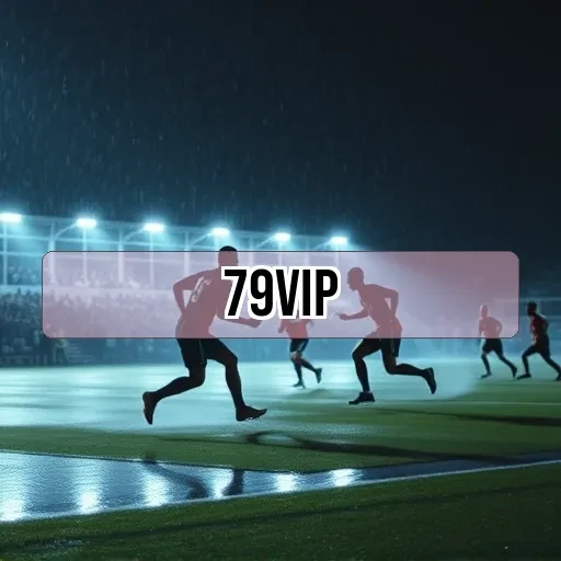 79vip.com Promoções